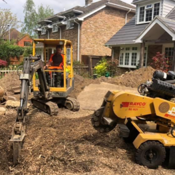Tree stump removal