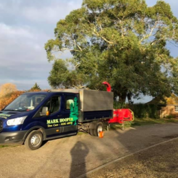 Tree surgery for commercial and domestic hire